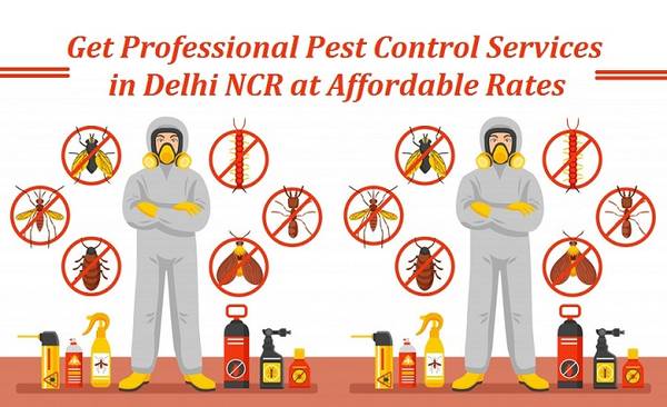 Get Professional Pest Control Services in Delhi NCR at