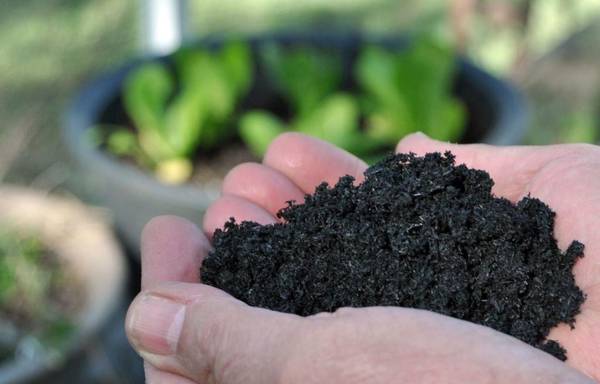 Make your crops healthy with biochar products