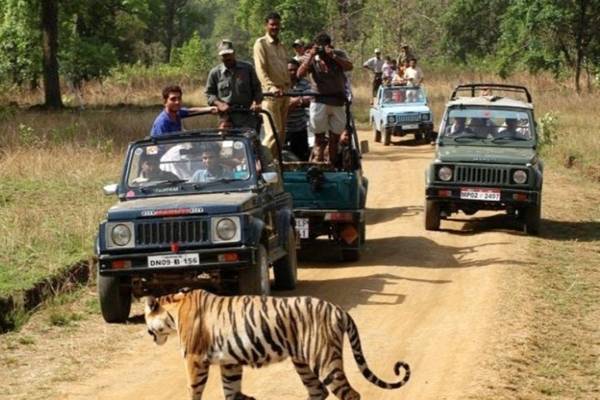 Jim Corbett Uttarakhand - Jeep Safari Tour Packages