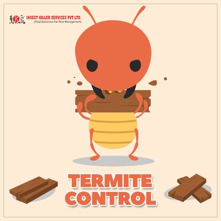 Termite Treatment & Control Service In Jaipur - IKS