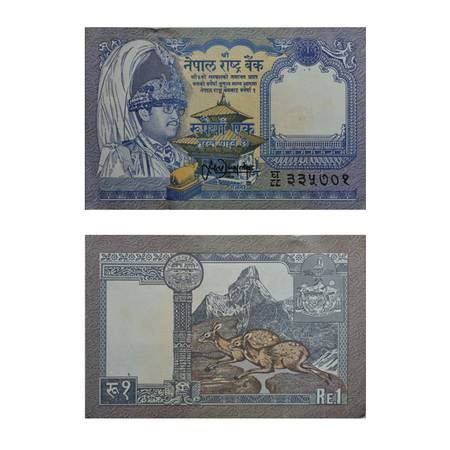 Buy 1 Nepalese Rupee Note ( Issue) for Rs 100