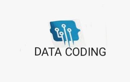 Wissen Glanz | Get Effective Data Coding Services