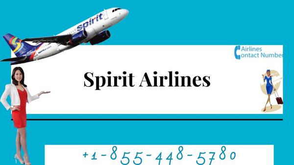Spirit Airlines Contact Number