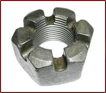 hex slotted nut in delhi