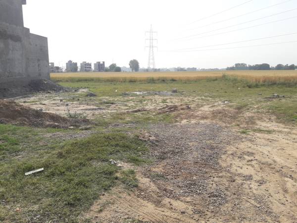  Yard East Facing Plot for Sale TDI City Sector 117