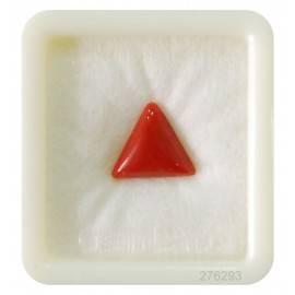 Astrological Coral Triangular 5+ 3.1ct