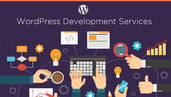 Hire Professional Wordpress Development Company