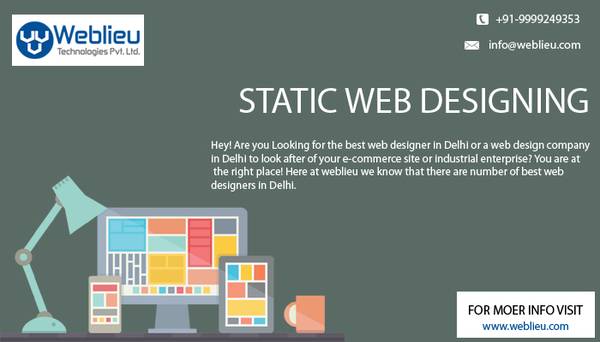 Site Designing Company in Delhi, Website Development Agency