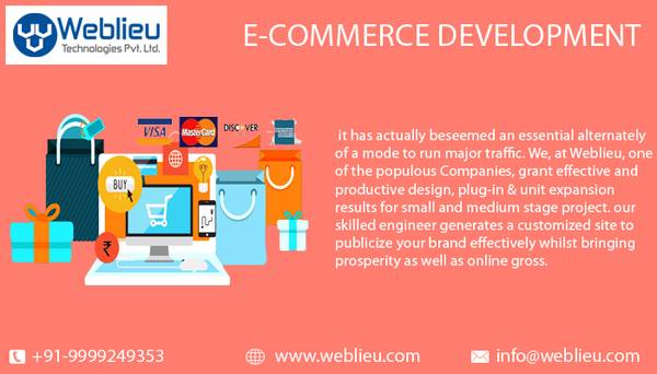Weblieu-Website Development company in Delhi