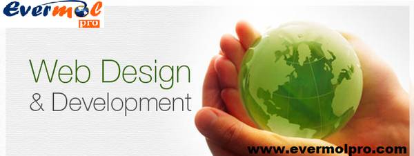 website development in Noida