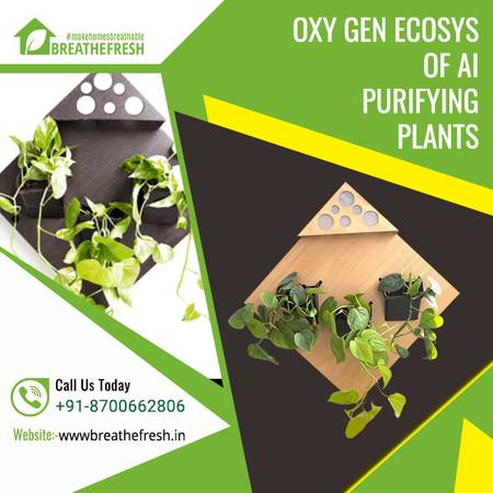 OXY – GEN | Ecosystem of Air Purifying Plants in India |