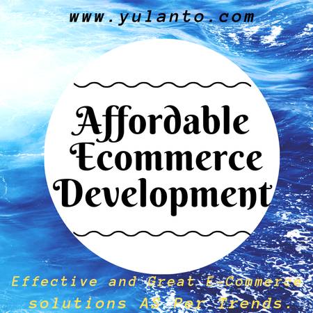 Affordable Ecommerce Development Services Company