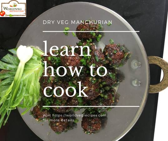 Dry Veg Manchurian | Indo Chinese Recipe