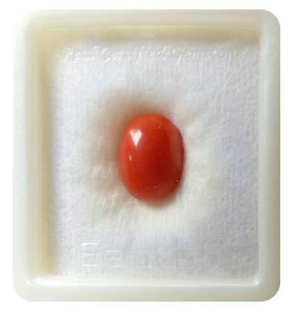 Buy Lab Certified Red Coral Fine ct