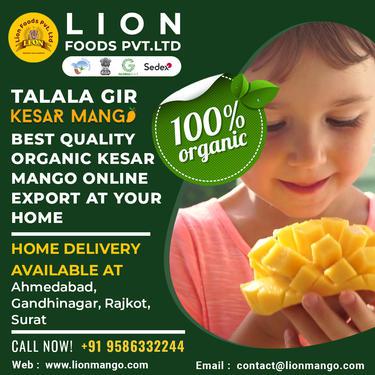 Best Quality Kesar Mango Online About Us Lion Mango