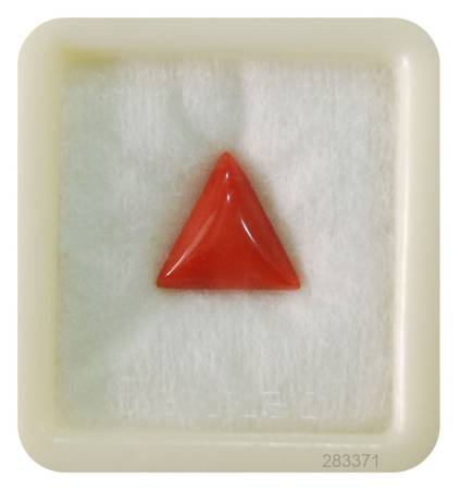 Natural Certified Coral Triangular 7+ 4.2ct at best price