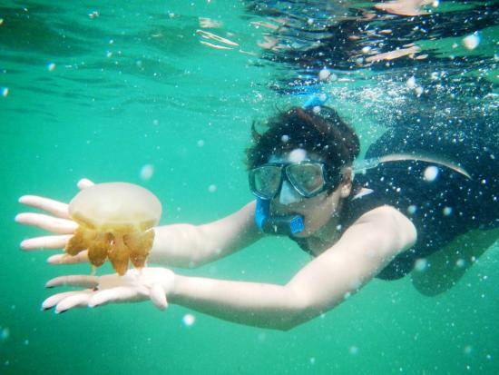 make your trip more memorable with Snorkeling in Goa