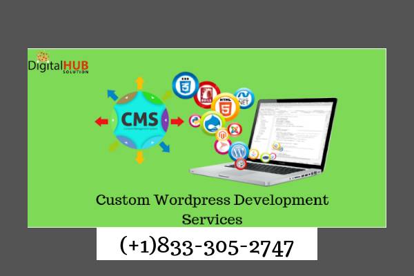 Custom Wordpress Development Services According Your Needs