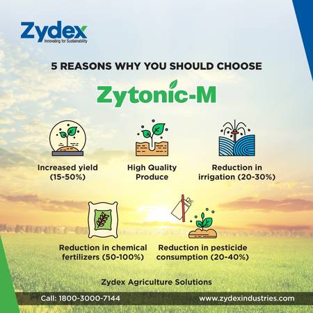 Zydex Industries - Biofertilizer Manufacturer and Supplier