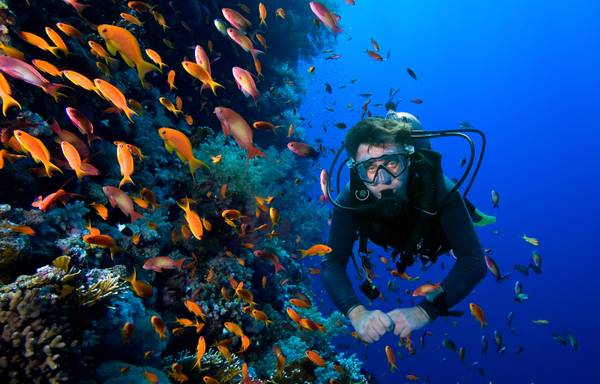 Experience Scuba Diving In Goa At A Budget-Friendly Price