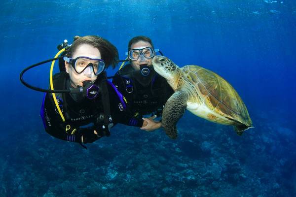 Goa- One Of The Best Place For Scuba Diving