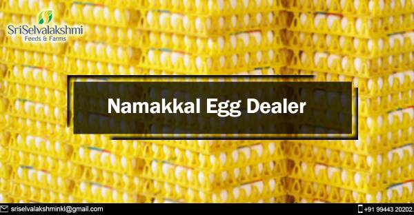 Namakkal Egg Dealer | Namakkal Egg Suppliers | Poultry Farm