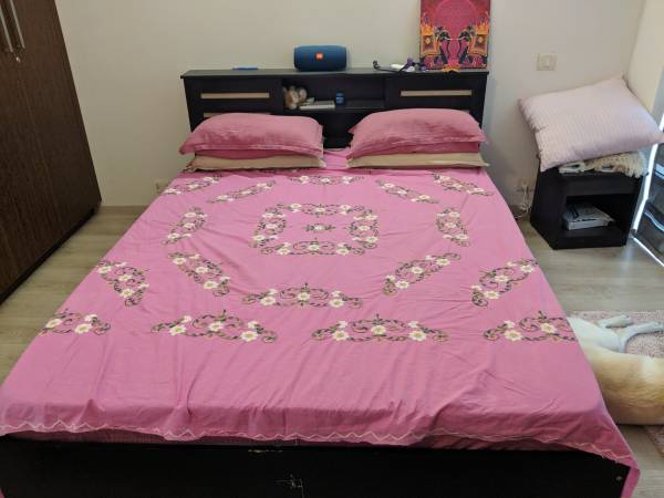 2 years old Queen size bed with Springtel spring mattress