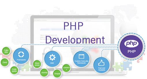 PHP Web Development Company in Delhi