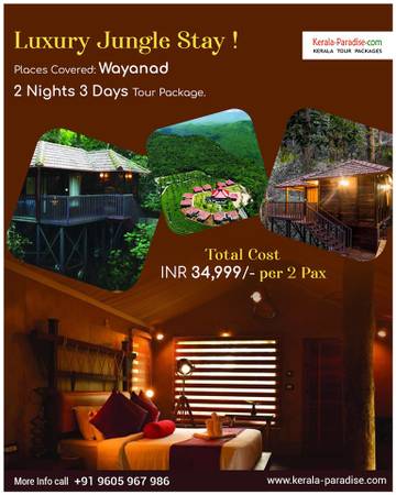 Plan Luxury Kerala honeymoon with Enchanting Munnar