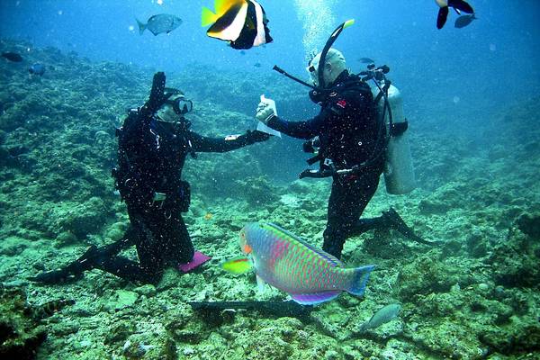 Book Your Package For Scuba Diving In Goa And Make Your Goa