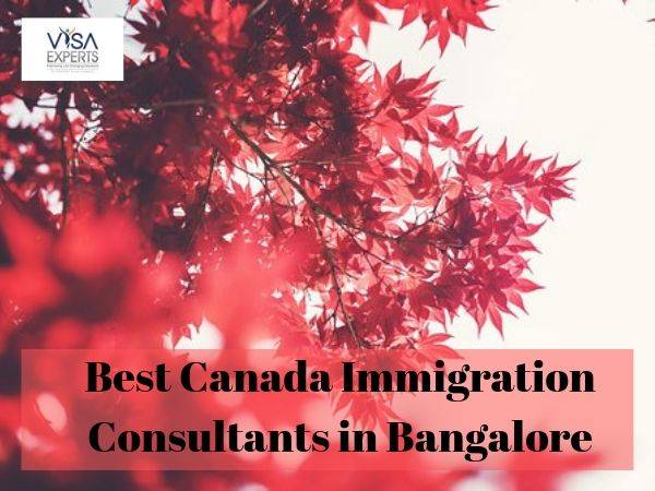 Best Canada Immigration Consultants in Bangalore