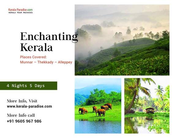 Plan your Kerala honeymoon tour packages with wonderful