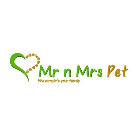 Find Healthy Dogs & Puppies for Adoption in Ajmer | Mr n Mrs