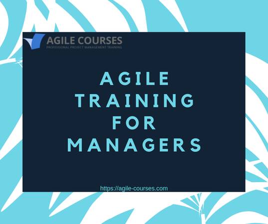 Agile Training for Managers
