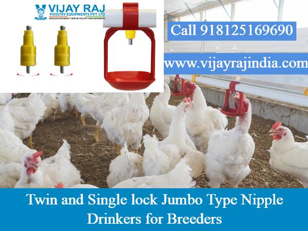 Twin and Single lock Jumbo Type Nipple Drinkers for Breeders