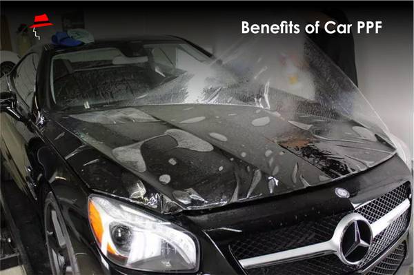 Car Paint Protection Film at Best Price in India