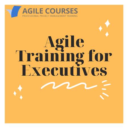 Agile Training for Executives