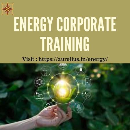 international Energy corporate training