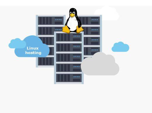 Linux Hosting Provider company, Hosting Precise