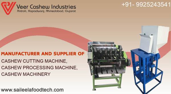 Automatic Cashew Processing Machine and Cashew Processing