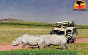 African safari vacation packages