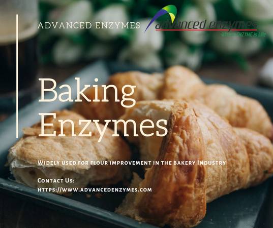 Baking Enzymes - Enzymes in Bread Making - Manufacturers and