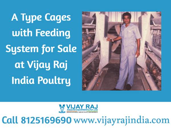 A Type Cages with Feeding System for Sale – Vijay Raj