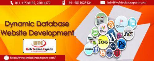 Dynamic Website Designing Company in Delhi NCR- Website