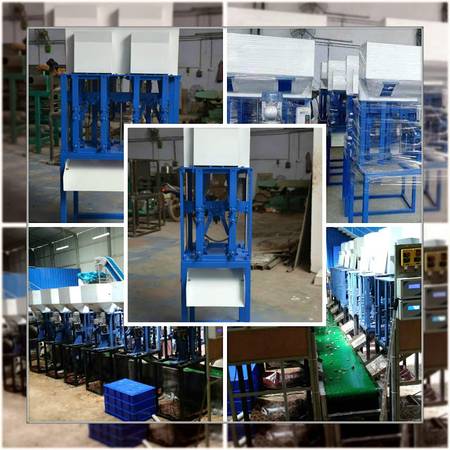 Get the Best Automatic Cashew Processing Machine and Cashew