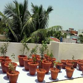 Terrace Garden Design Noida