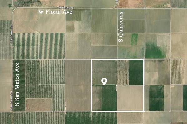 FOR SALE... 642 Acres of 1yr old Almonds