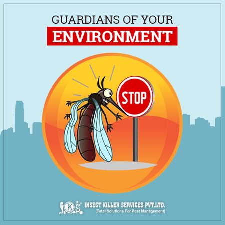 Get flies & mosquito control service at cheap price from IKS