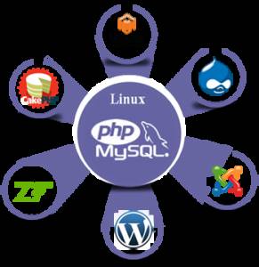 PHP Development Agencies