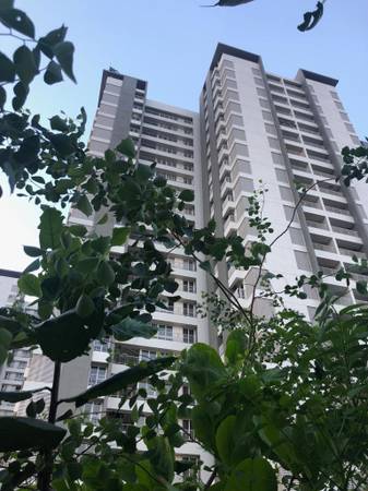 3 BHK Apartments In Whitefield Bangalore